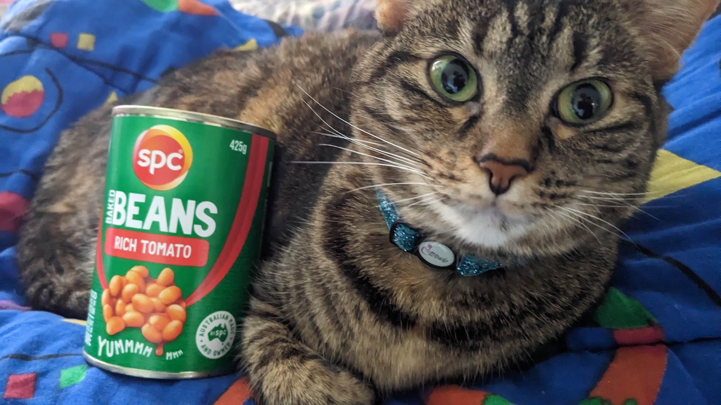 Jellybean